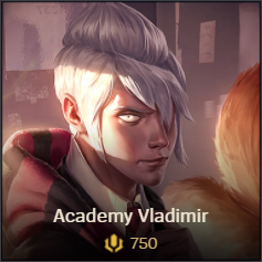 Academy Vladimir