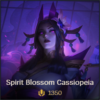 Spirit Blossom Cassiopeia